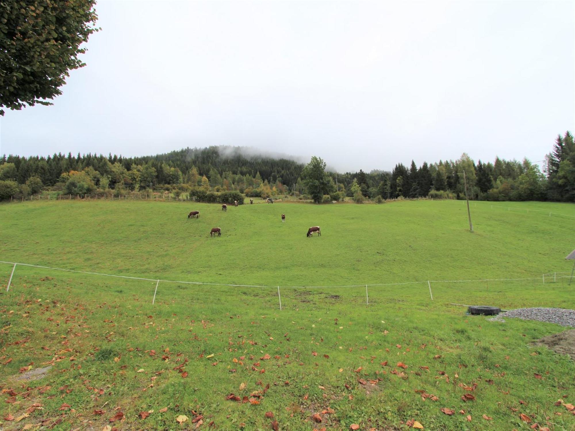 Characterful Old Farmhouse With 4 Apartments In Fresach Carinthia With Garden Exteriör bild